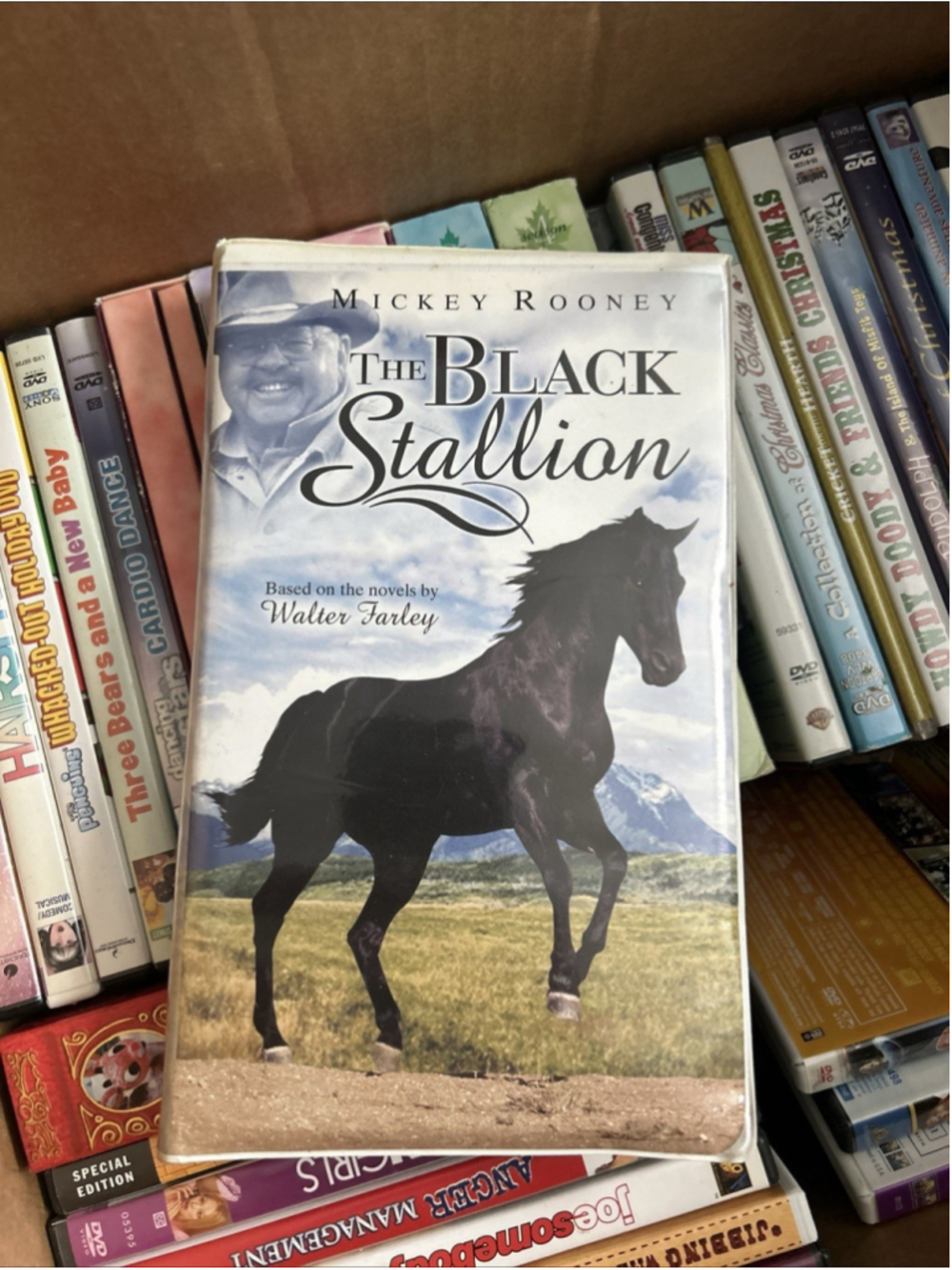 The Black Stallion (VHS, 1997, Clamshell Family Treasures)